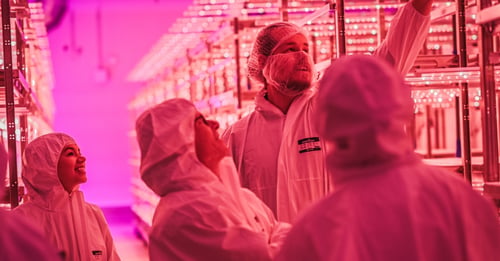 Norge har verdensledende teknologi innen matproduksjon. Hvorfor klarer vi ikke å utnytte den, når vi satser milliarder på forsvar og beredskap?