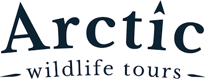 arctic wild life tours