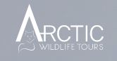 Arctic Wildlife Tours