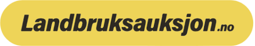 auksjonen logo